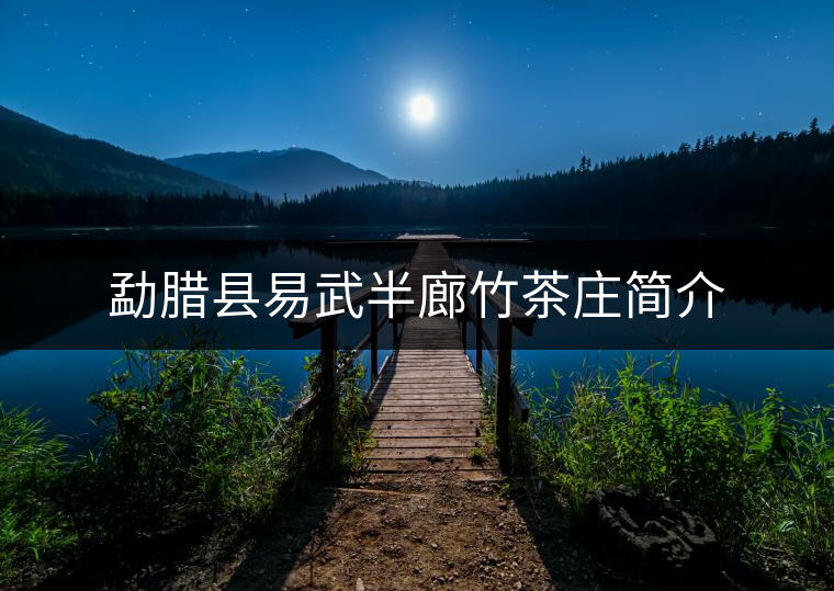 勐臘縣易武半廊竹茶莊簡(jiǎn)介