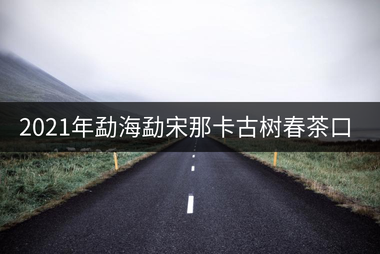 2021年勐海勐宋那卡古樹春茶口感？