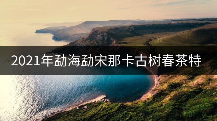2021年勐海勐宋那卡古樹春茶特點？