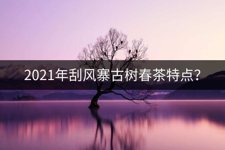 2021年刮風(fēng)寨古樹春茶特點(diǎn)？