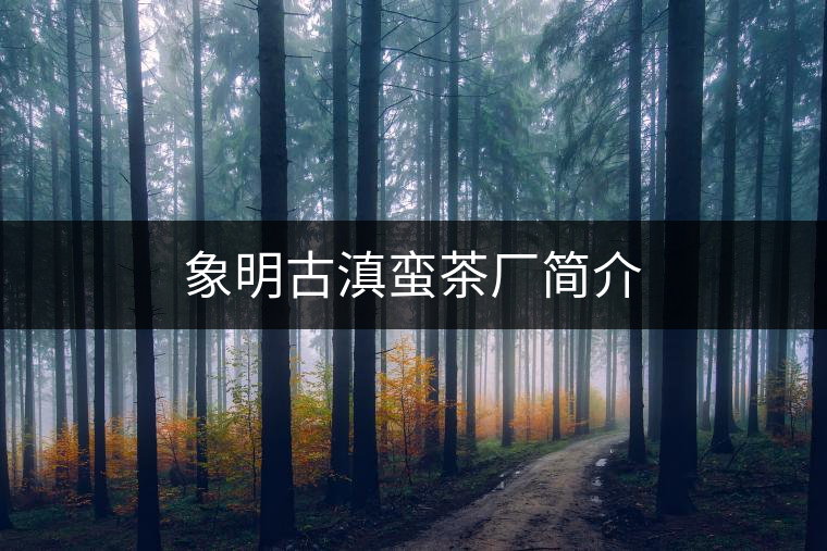 象明古滇蠻茶廠簡介