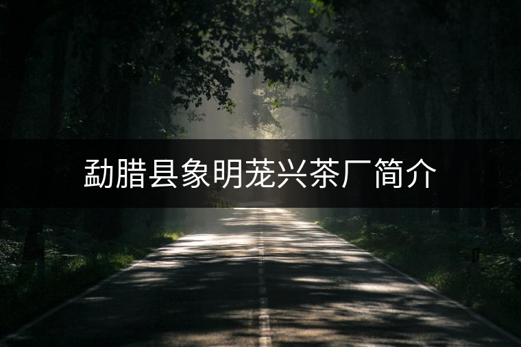勐臘縣象明蘢興茶廠簡(jiǎn)介