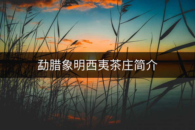 勐臘象明西夷茶莊簡介 勐臘象明西夷茶莊簡介
