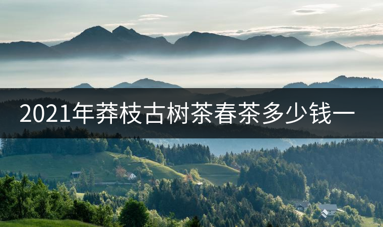 2021年莽枝古樹茶春茶多少錢一斤？