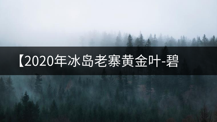 【2020年冰島老寨黃金葉-碧波蕩漾一抹香，輕啜半盞甘若露。
