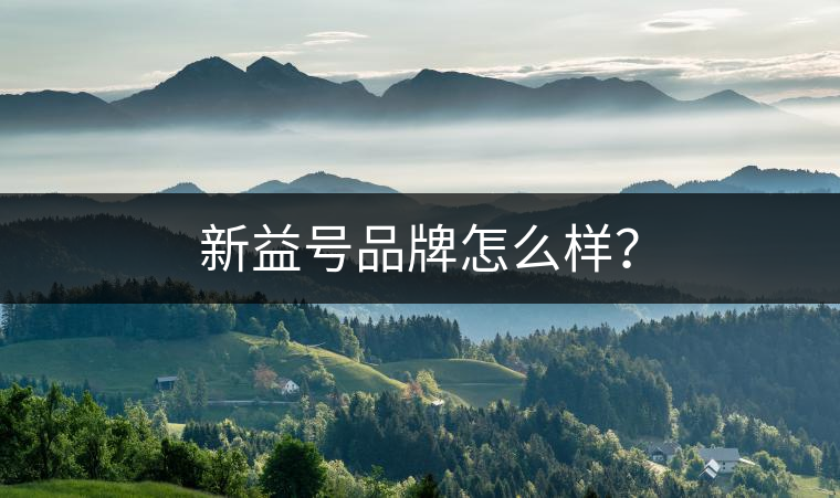 新益號品牌怎么樣？