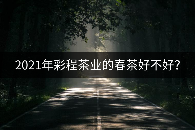 2021年彩程茶業(yè)的春茶好不好？