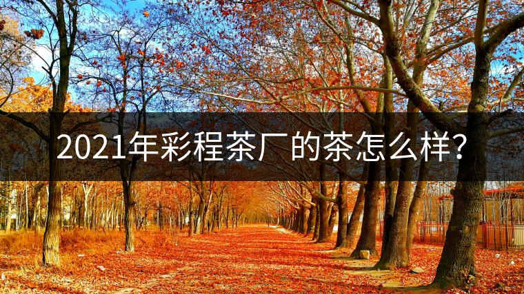 2021年彩程茶廠的茶怎么樣？