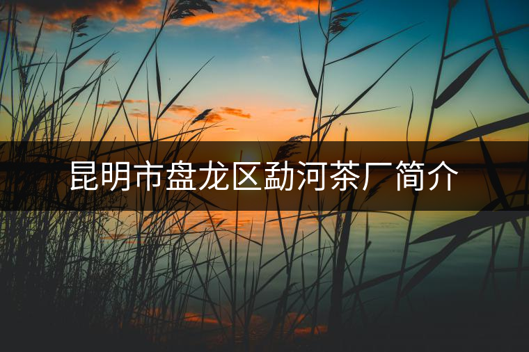昆明市盤龍區(qū)勐河茶廠簡(jiǎn)介