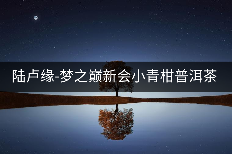 陸盧緣-夢之巔新會小青柑普洱茶熟茶500g茶葉陳皮茶正宗桔普好喝嗎？