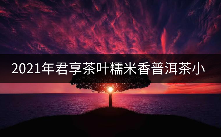 2021年君享茶葉糯米香普洱茶小沱茶餅口感好嗎？