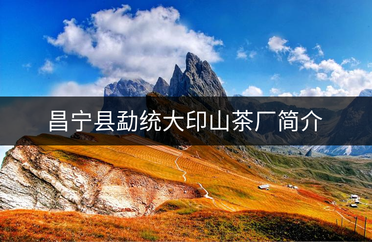 昌寧縣勐統(tǒng)大印山茶廠簡介