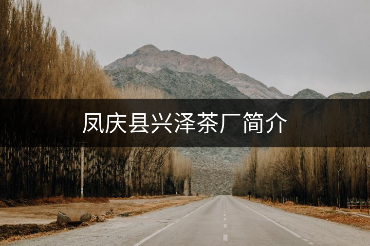鳳慶縣興澤茶廠簡(jiǎn)介
