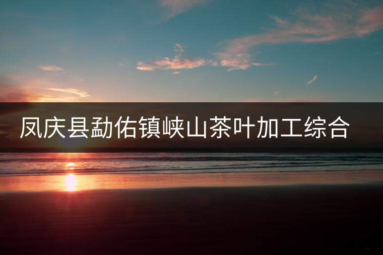 鳳慶縣勐佑鎮(zhèn)峽山茶葉加工綜合經(jīng)營部簡介