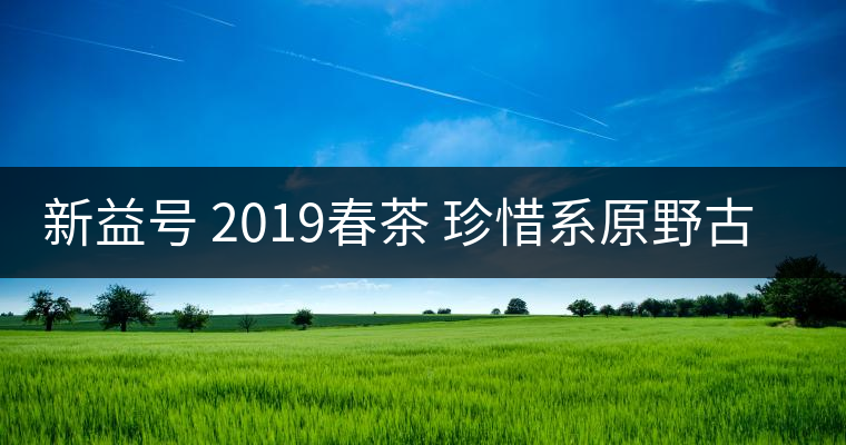新益號 2019春茶 珍惜系原野古茶 野茶可以買嗎？