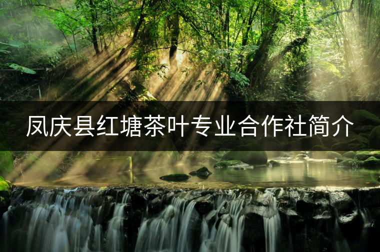鳳慶縣紅塘茶葉專業(yè)合作社簡介 鳳慶縣紅塘茶葉專業(yè)合作社簡介