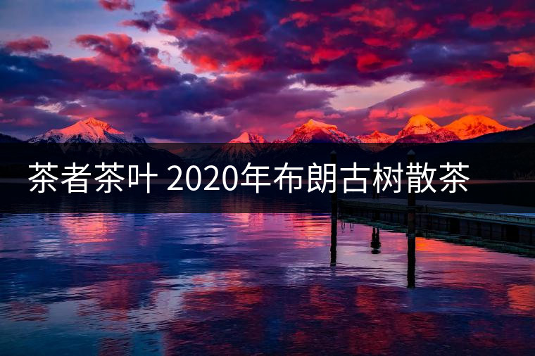 茶者茶葉 2020年布朗古樹散茶  性價比怎么樣？