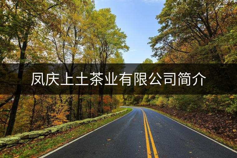鳳慶上土茶業(yè)有限公司簡介