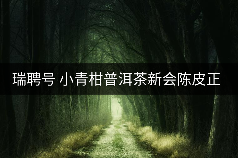 瑞聘號(hào) 小青柑普洱茶新會(huì)陳皮正宗桔橘熟茶葉宮廷東甲柑普茶是什么茶？