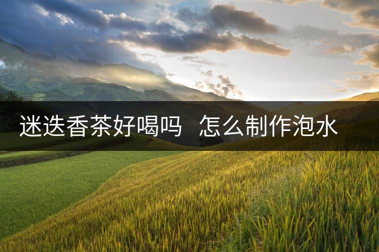 迷迭香茶好喝嗎 怎么制作泡水的 迷迭香茶好喝嗎 怎么制作泡水的