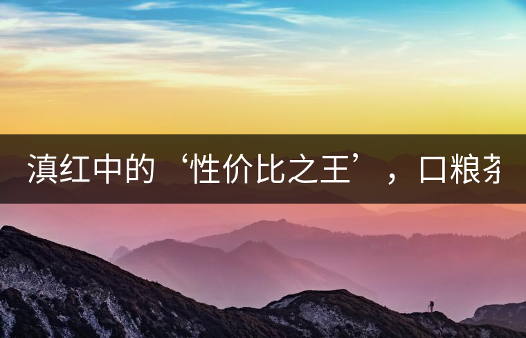 滇紅中的‘性價比之王’，口糧茶首選！