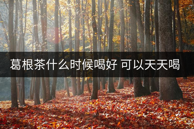 葛根茶什么時候喝好 可以天天喝嗎