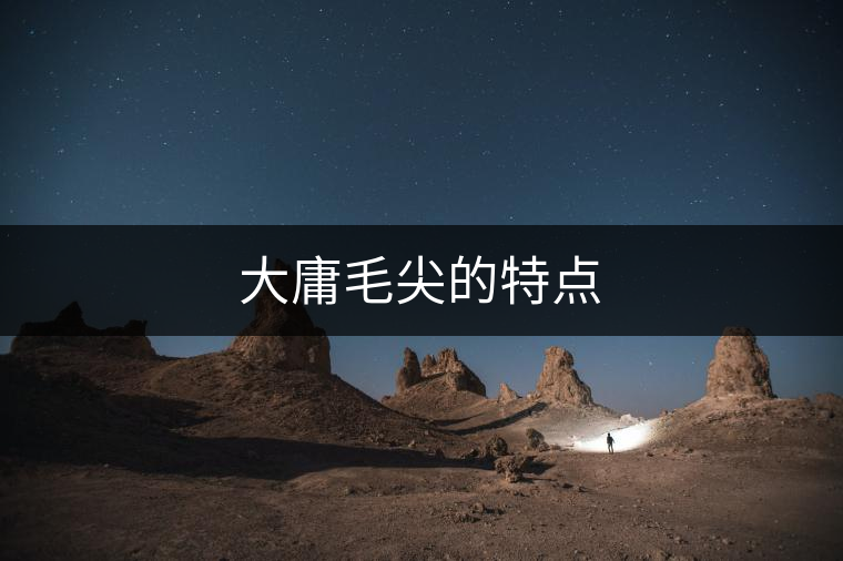 大庸毛尖的特點(diǎn)