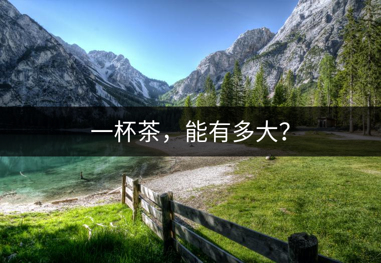 一杯茶，能有多大？