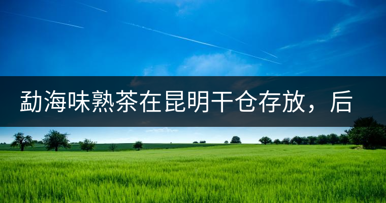 勐海味熟茶在昆明干倉存放，后期轉化如何呢？