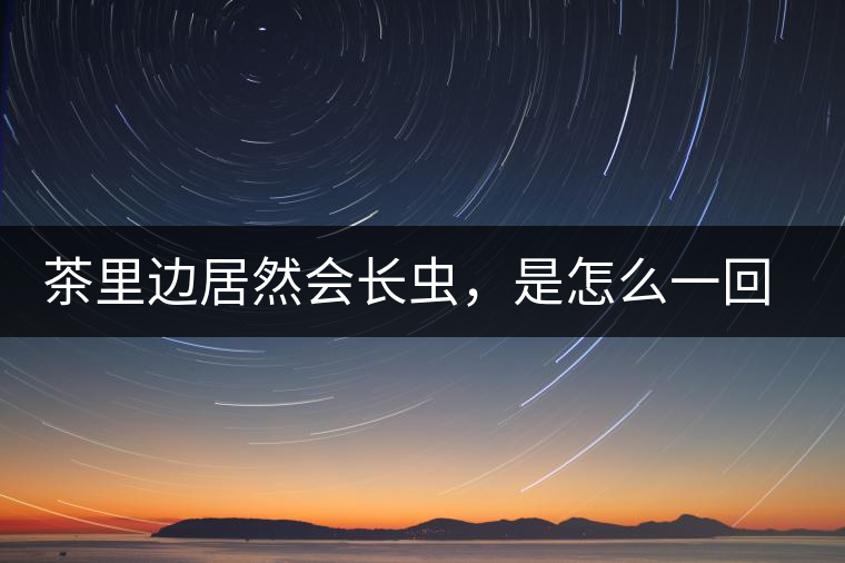茶里邊居然會長蟲，是怎么一回事呢？