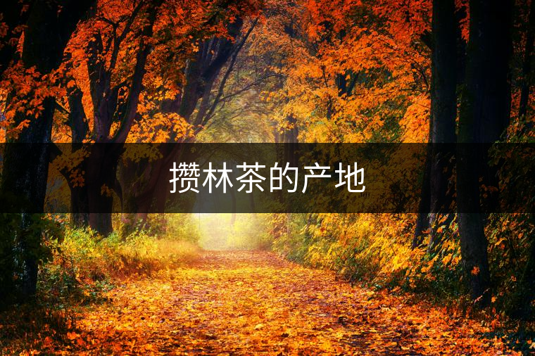 攢林茶的產(chǎn)地