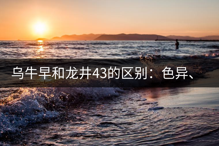 烏牛早和龍井43的區(qū)別：色異、香異、形異