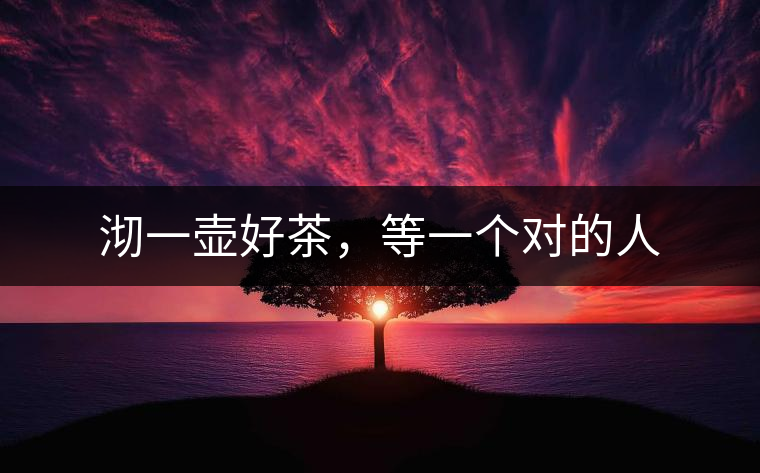 沏一壺好茶，等一個(gè)對的人