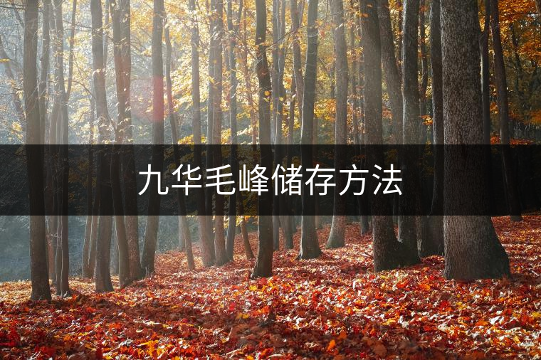 九華毛峰儲存方法