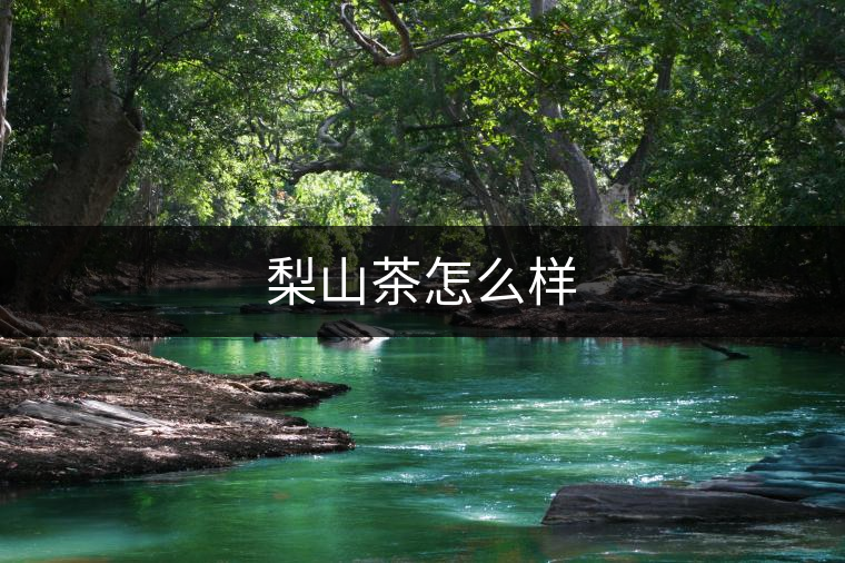 梨山茶怎么樣