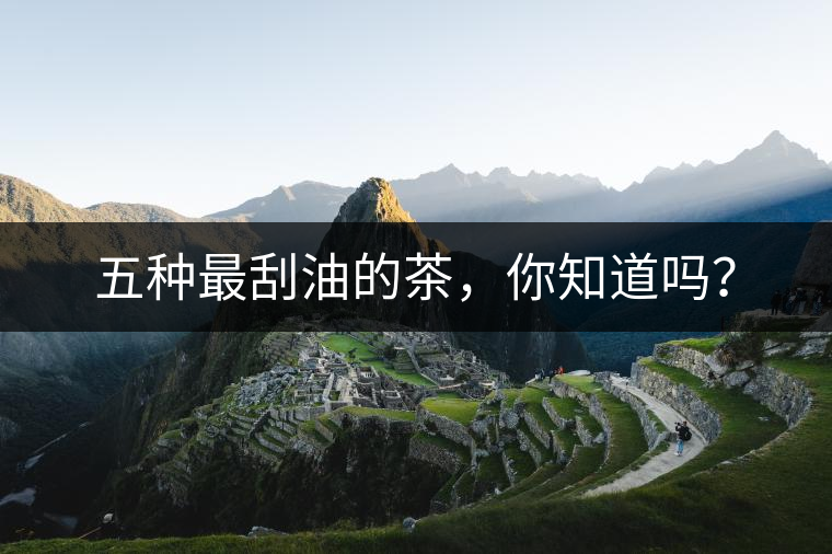 五種最刮油的茶，你知道嗎？