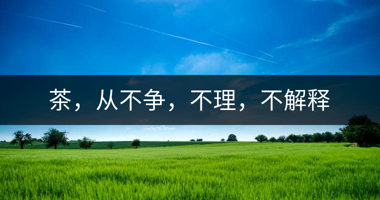 茶，從不爭，不理，不解釋
