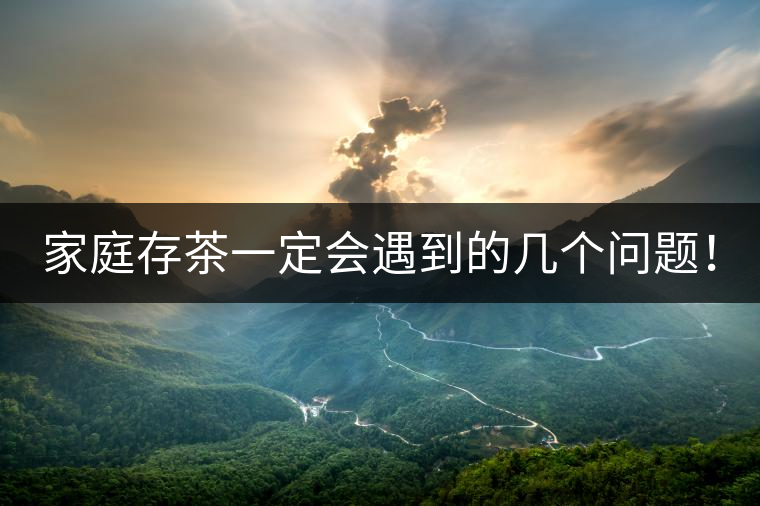 家庭存茶一定會遇到的幾個(gè)問題！