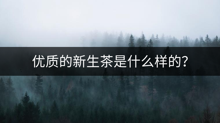優(yōu)質(zhì)的新生茶是什么樣的？