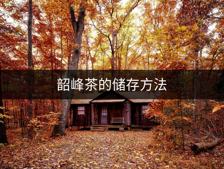 韶峰茶的儲存方法
