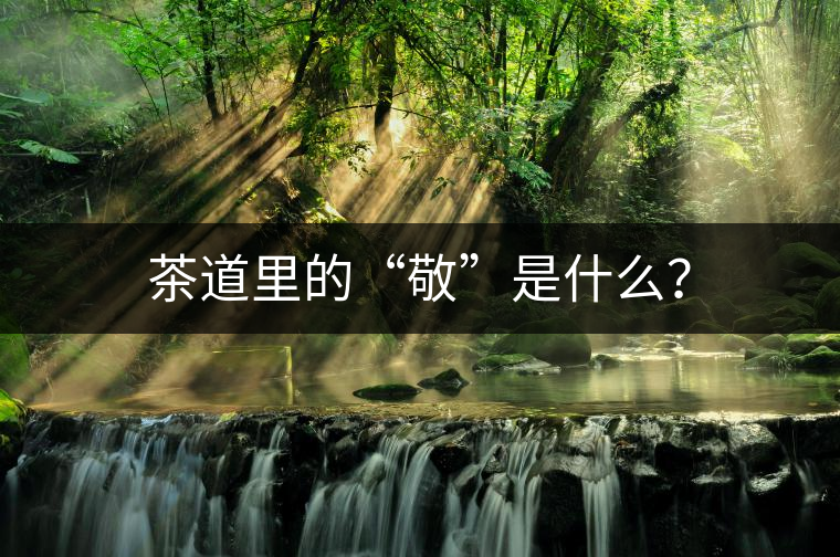 茶道里的“敬”是什么？