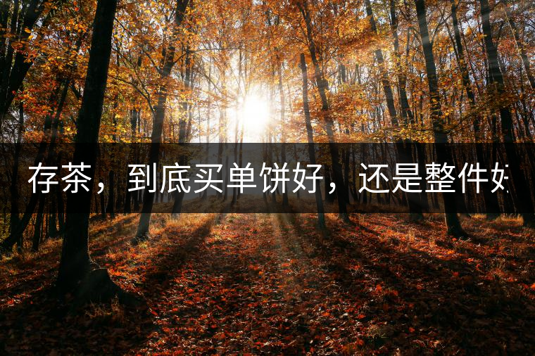 存茶，到底買單餅好，還是整件好？