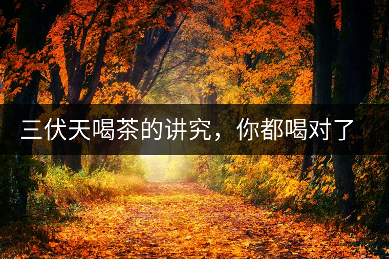 三伏天喝茶的講究，你都喝對了嗎？