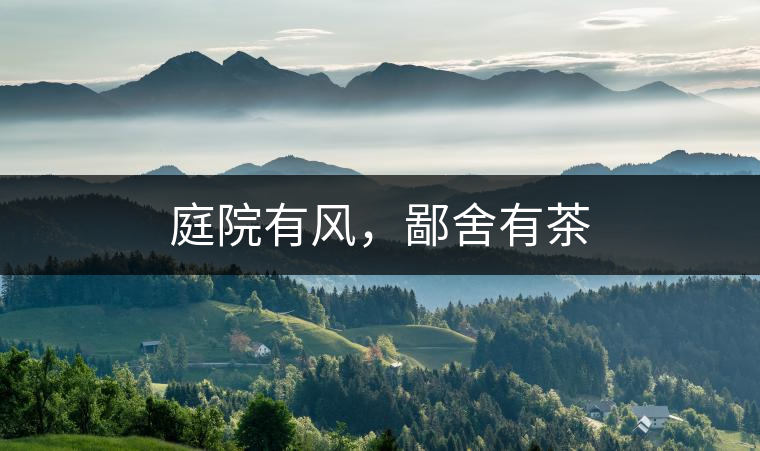 庭院有風(fēng)，鄙舍有茶