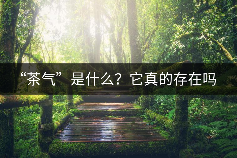 “茶氣”是什么？它真的存在嗎？