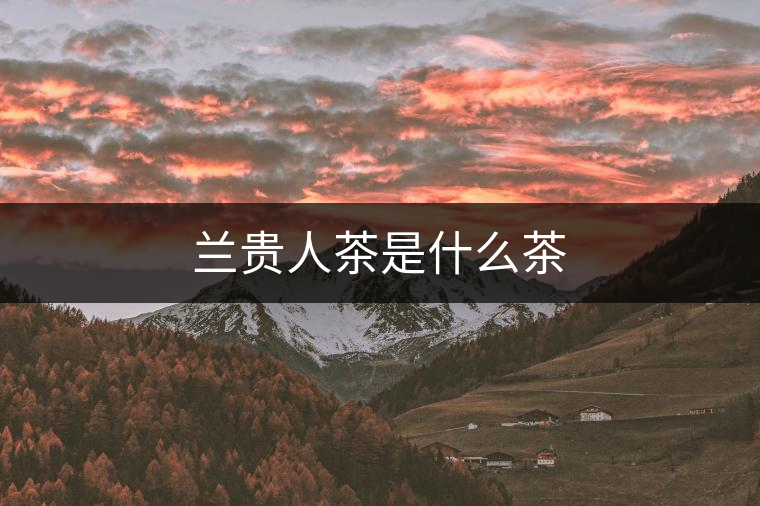 蘭貴人茶是什么茶