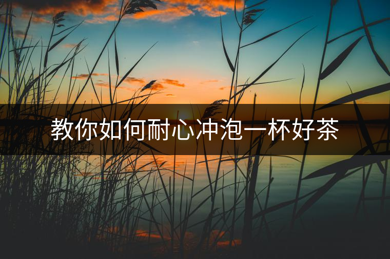 教你如何耐心沖泡一杯好茶