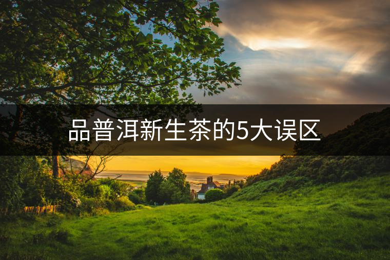 品普洱新生茶的5大誤區(qū) 品普洱新生茶的5大誤區(qū)