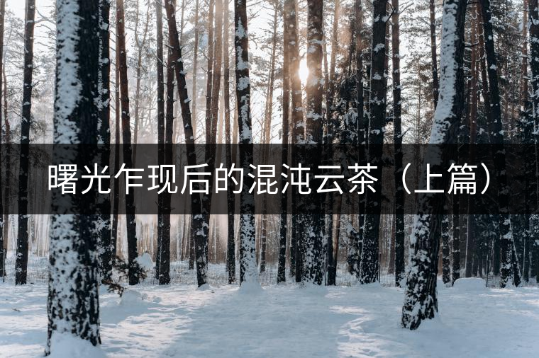 曙光乍現(xiàn)后的混沌云茶（上篇）