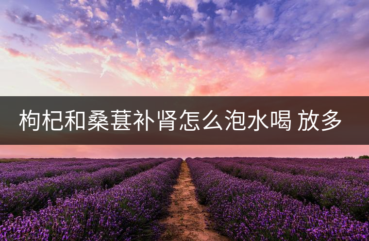 枸杞和桑葚補(bǔ)腎怎么泡水喝 放多少合適